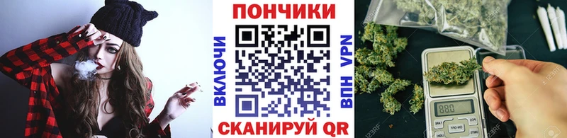 Бошки марихуана марихуана  Черногорск 